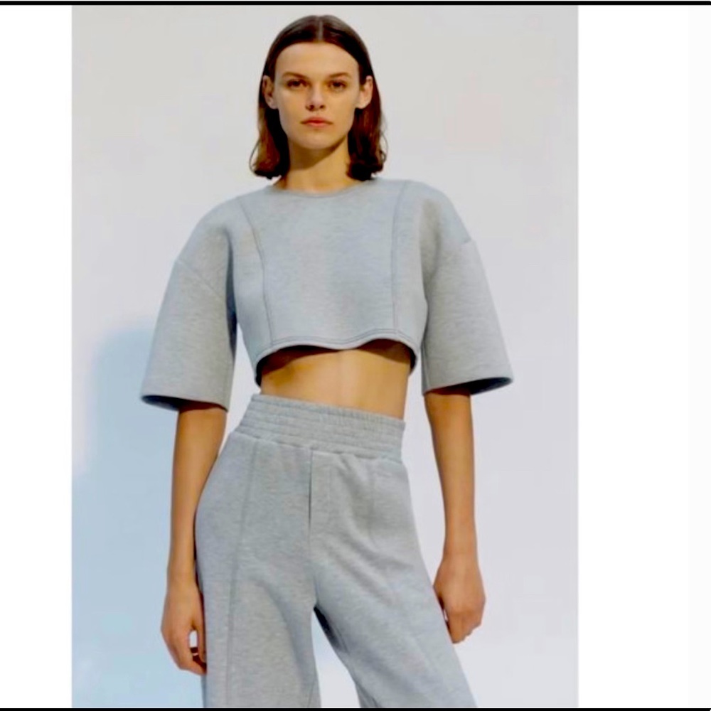 Zara NWT wide leg plush pants sz M